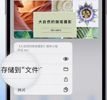 敦煌apple维修中心分享iPhone文件应用中存储和找到下载文件