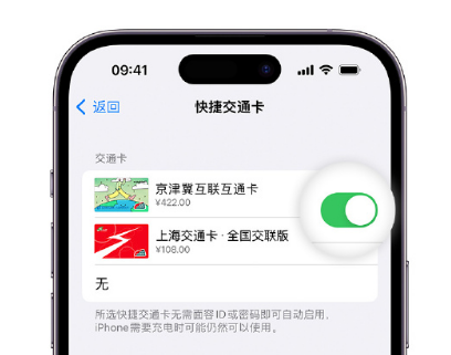 敦煌apple维修点分享iPhone上更换Apple Pay快捷交通卡手绘卡面 