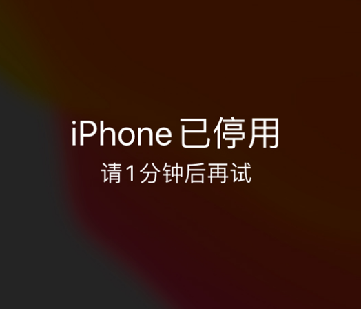 敦煌苹果手机维修分享:iPhone 显示“不可用”或“已停用”怎么办？还能保留数据吗？ 