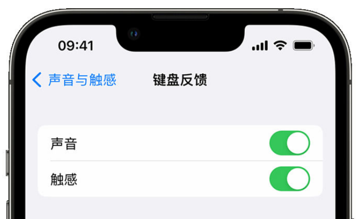 敦煌苹果手机维修分享iPhone 14触感键盘使用方法 