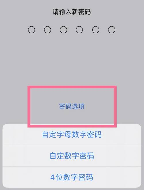 敦煌苹果14维修分享iPhone 14plus设置密码的方法 