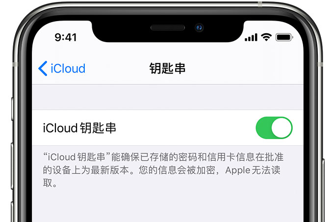 敦煌苹果手机维修分享在 iPhone 上开启 iCloud 钥匙串之后会储存哪些信息 