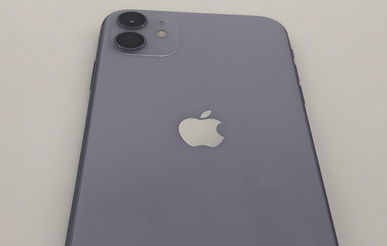 敦煌苹果11系统维修分享iPhone11手机系统崩溃无法开机如何解决 